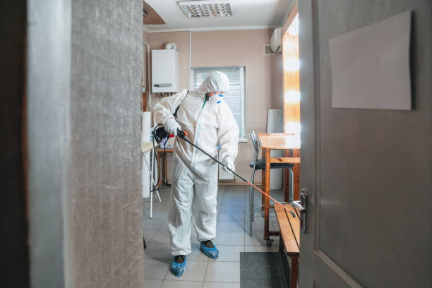 Best Asbestos and Lead Testing During Mold Inspection  in USA